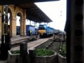 /album/kepgaleria-2013-03-08/fenykep0710-jpg/